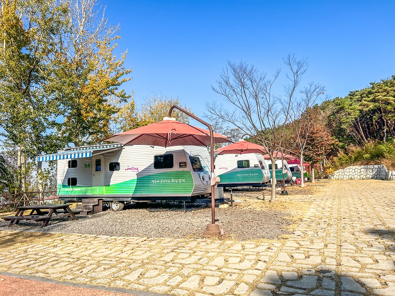 달서별빛캠프 캠핑장