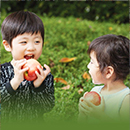 미인의 도시, 대구